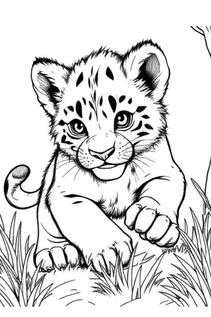 Lion Coloring Pages (17)