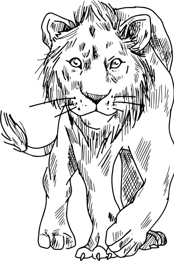 Lion Coloring Pages