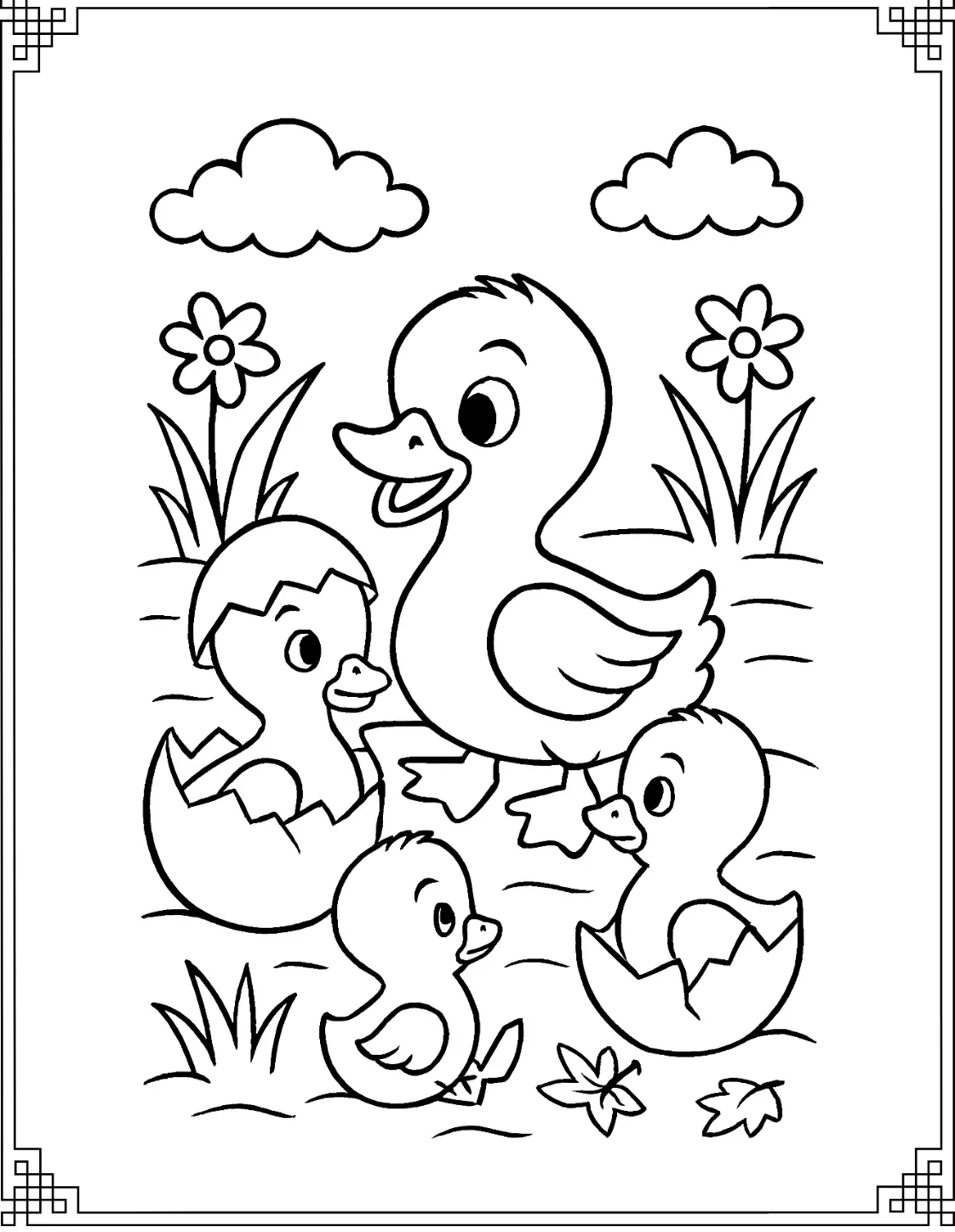 Newly Born Ducklings
