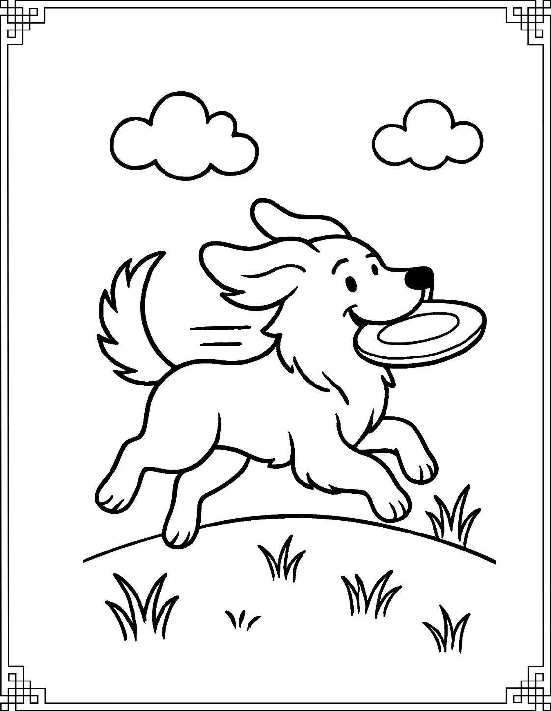 Golden Retriever playtime