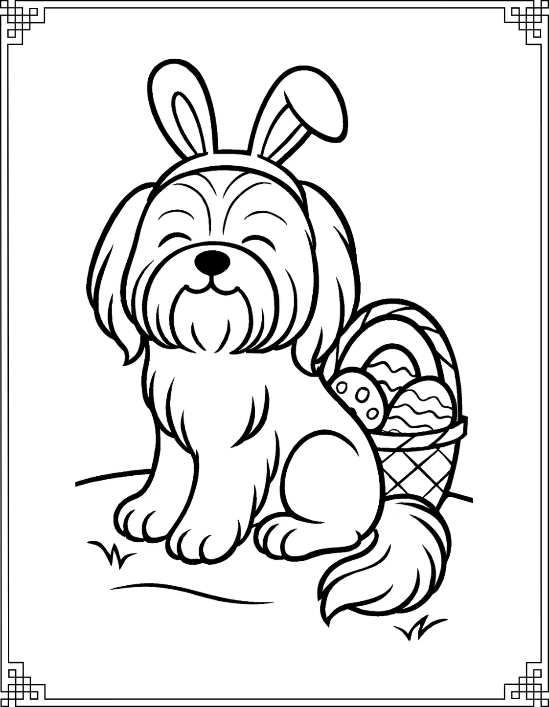 Shih Tzu Bunny